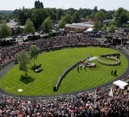 ascot-location-image