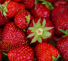 strawberries-important-info